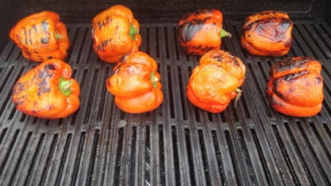 פלפלים קלויים על האש