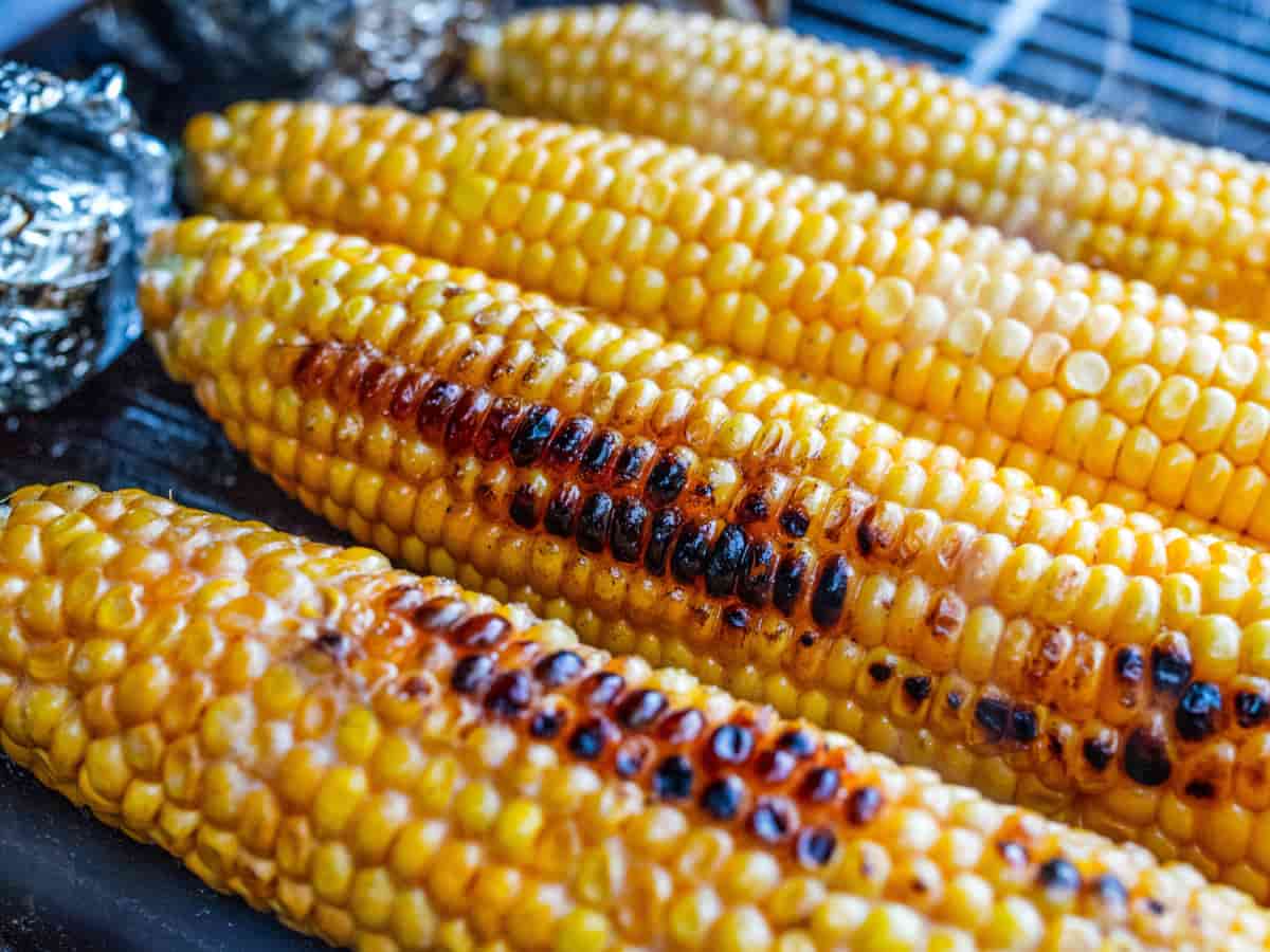 תירס על האש